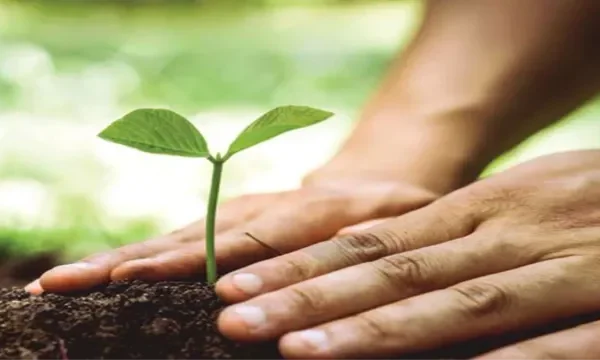स्वतंत्रता दिवस पर यूपी में देशभक्ति के साथ पर्यावरण का संदेश, प्रदेश भर में बनेंगी ‘वंदे मातरम् वाटिका’